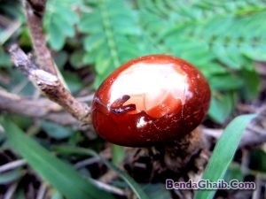 Batu Akik Mustika Combong Buntet