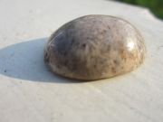 Mustika Anti Santet (Badar Malaikat)