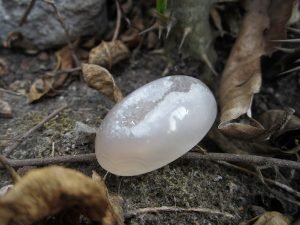 Mustika Combong Nyai Dasimah