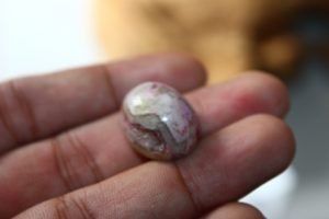 Mustika Dewi Tunjung Sari