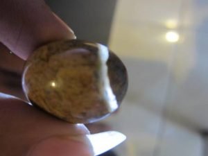 Mustika Lintang Kemukus