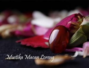 Mustika Macan Loreng