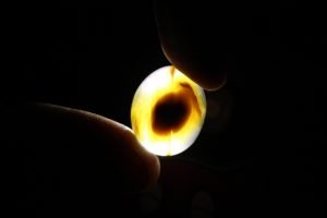 Mustika Nogo Kencono