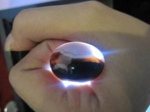 Mustika Raja Lintah Keramat