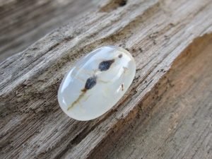 Mustika Raja Lebah Madu Sunan Kalijaga