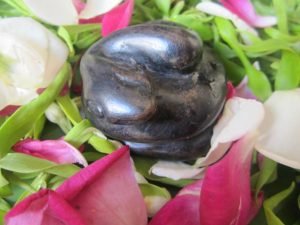 Mustika Ular (Nyi Roro Kidul)