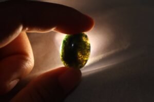 Mustika Tunggak Semi