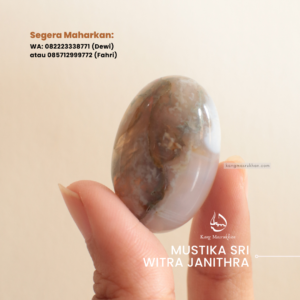 Mustika Sri Witra Janithra