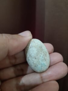 Mustika Badar Ananta