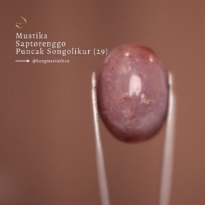 Mustika Saptorenggo Puncak Songolikur (29)