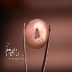 Mustika Combong Artha Lelono